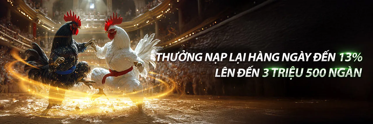 Banner khuyến mãi n666 app với các ưu đãi thể thao và casino